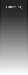 Fütterung
